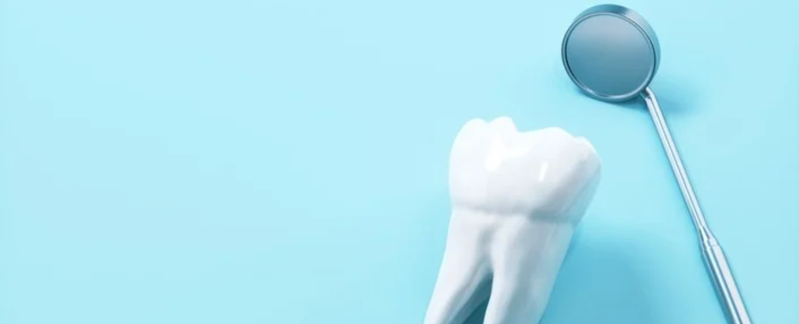 Your Dental Coverage The Difference Between In and Out of Network